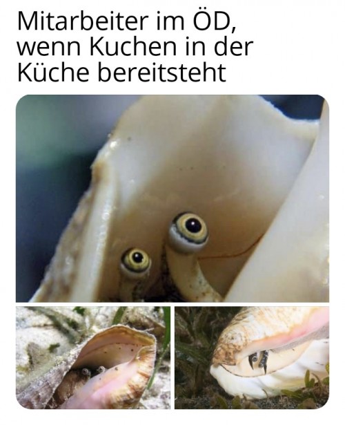 Gierigen Säcke