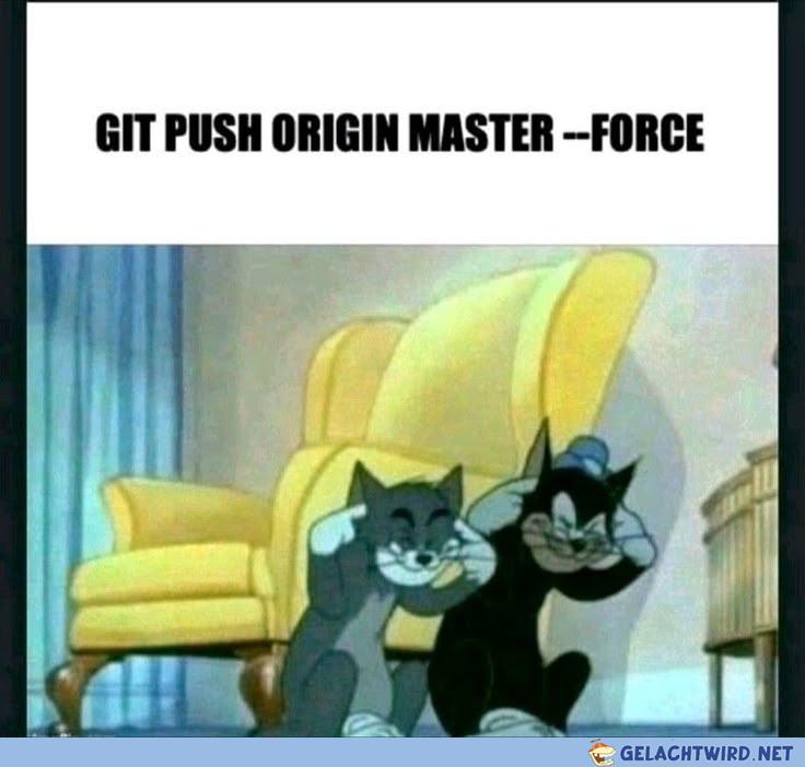 Git push origin master --force