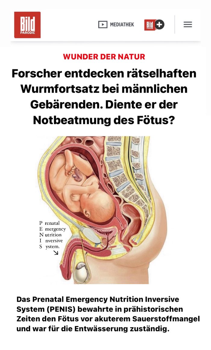 Gnihhihihi