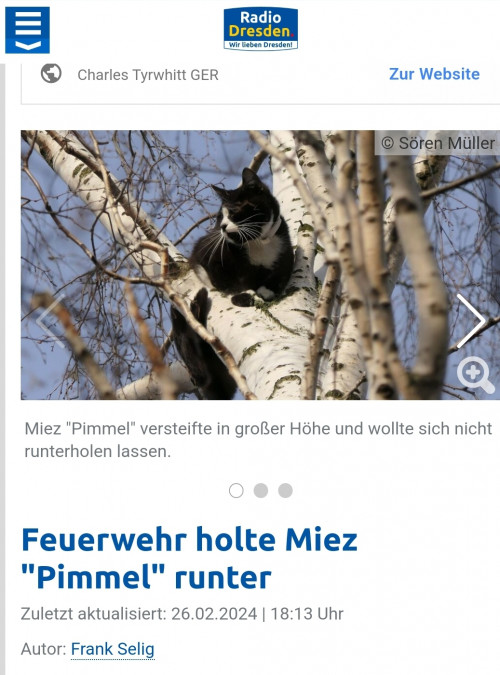gnihihi