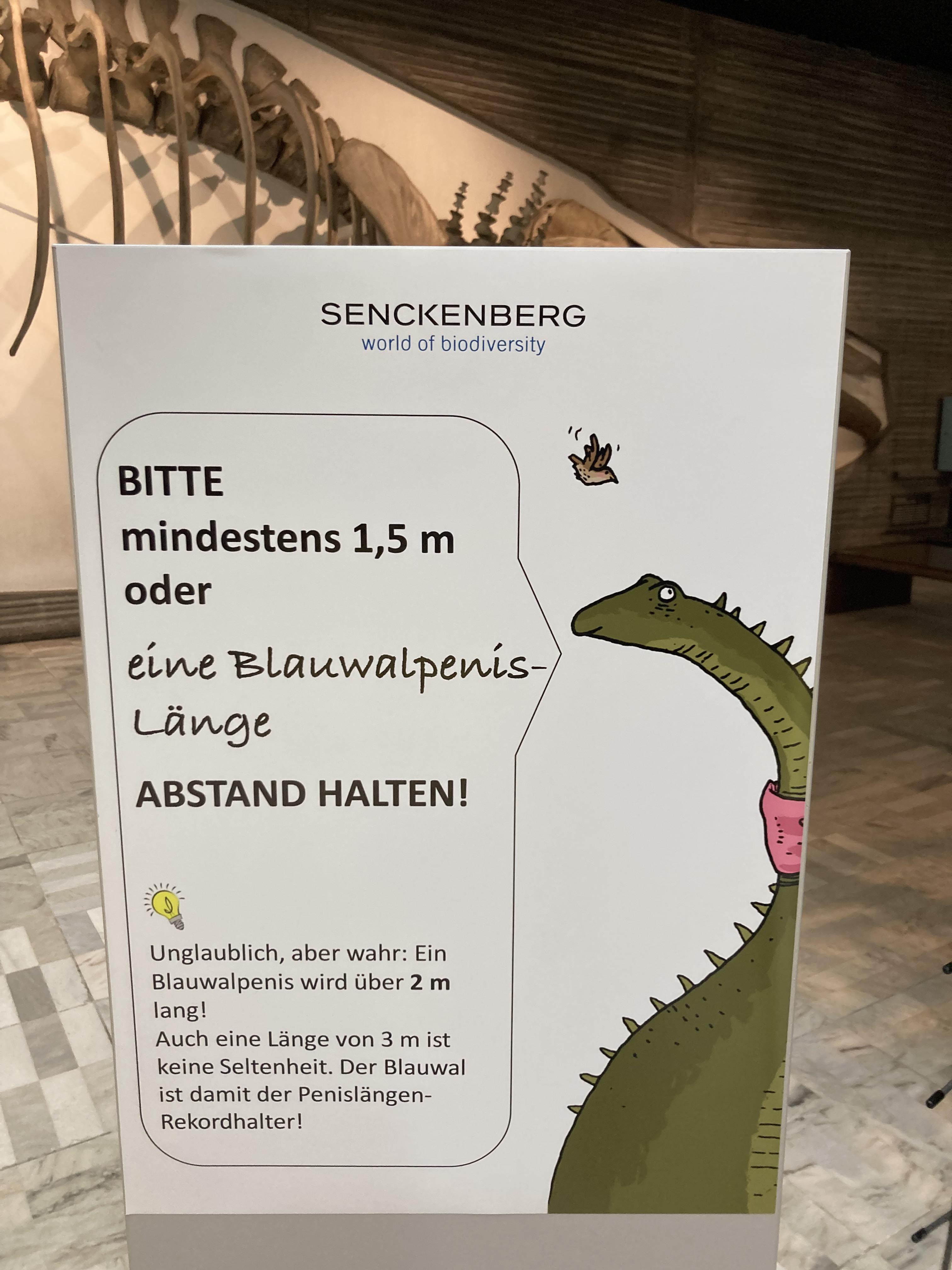 Gnihihi