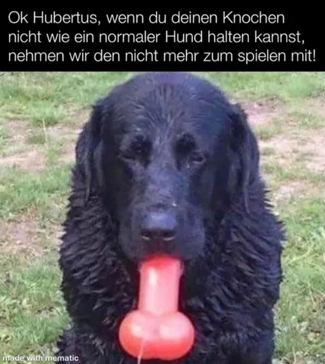 Gnihihi