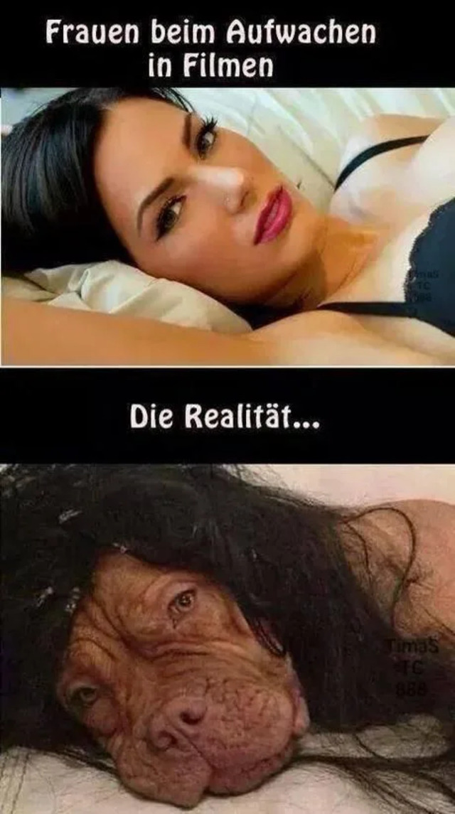 Gnihihihi