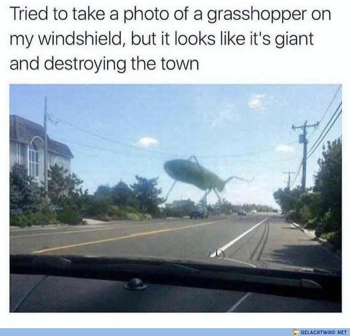 Grashüpfzilla