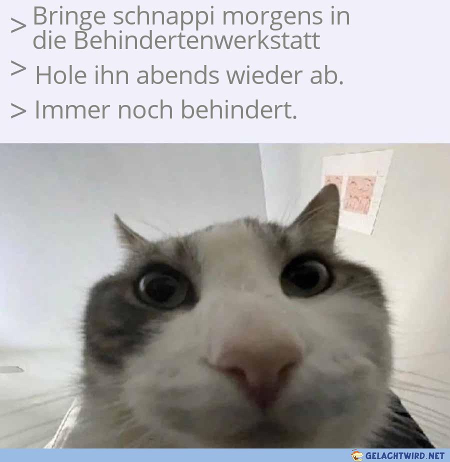 Guckkadser
