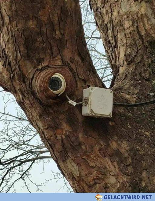 Gut versteckt