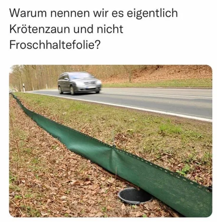 Gute Frage