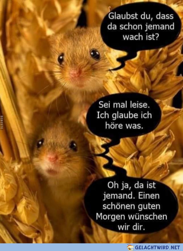 Guten Morgen