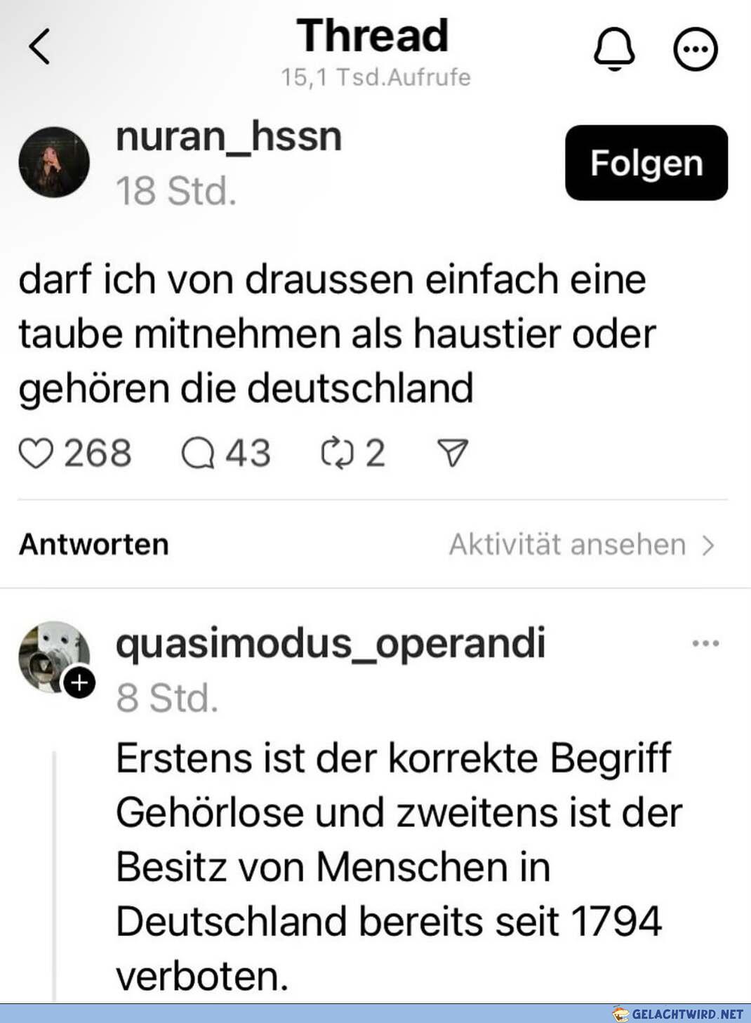 gwn humor