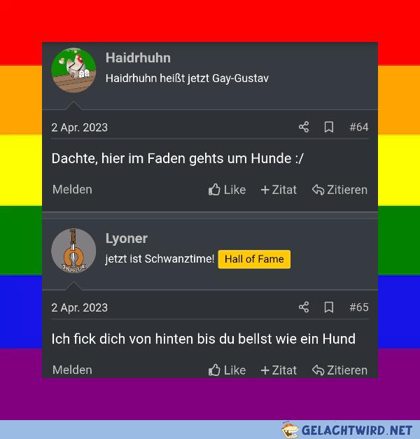 GWN ist STRAIGHT
