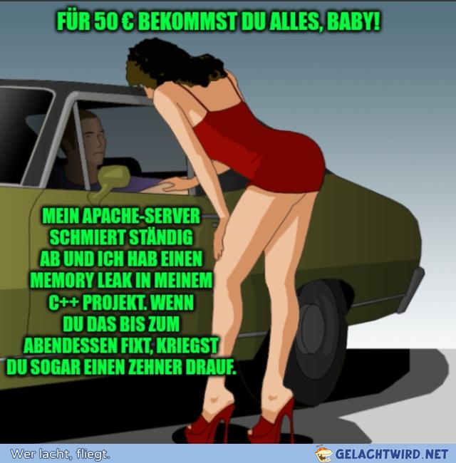 GWNler bei einer Nutte