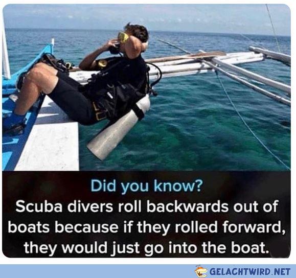 Habbders gwusst?