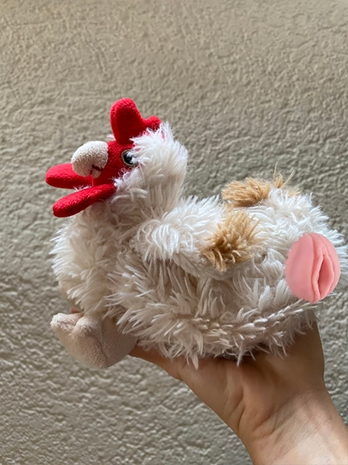 Haidrhuhnfleshlight