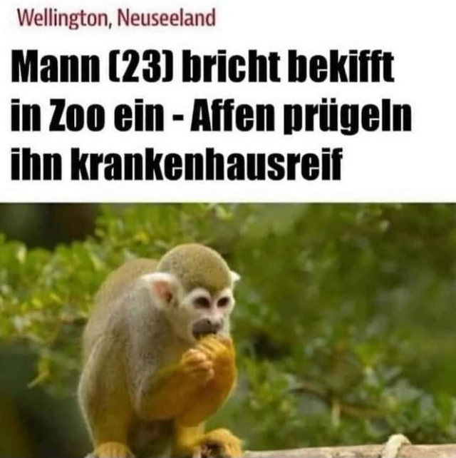 Hat er verdient
