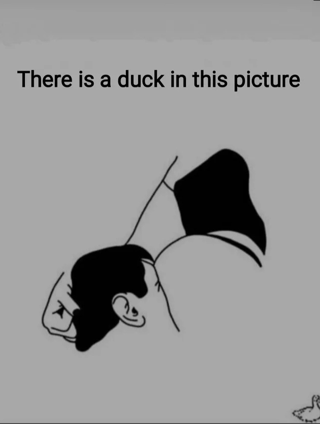 Hehe