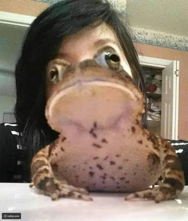Henlo