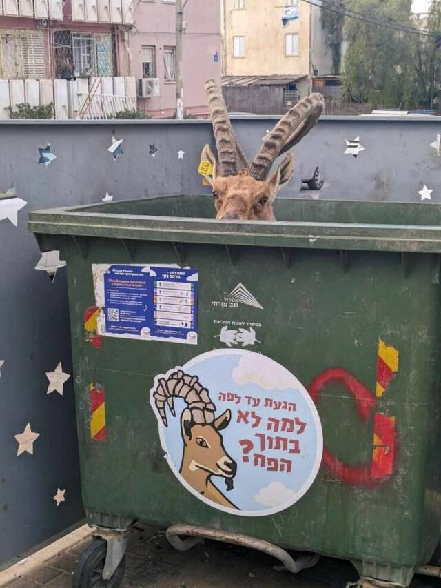 Henlo