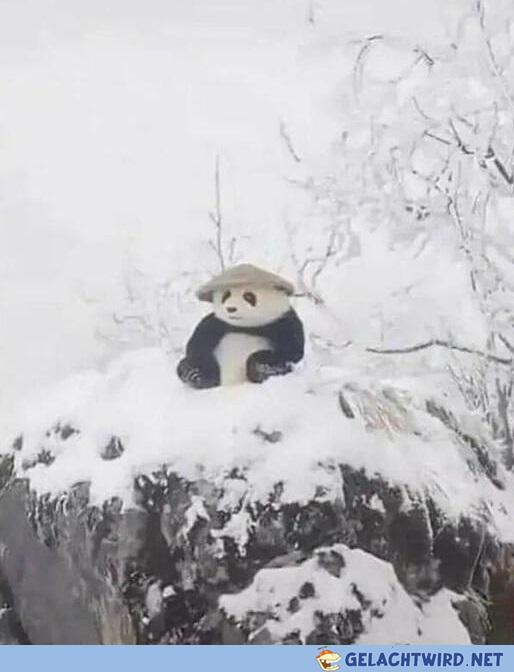 Henlo
