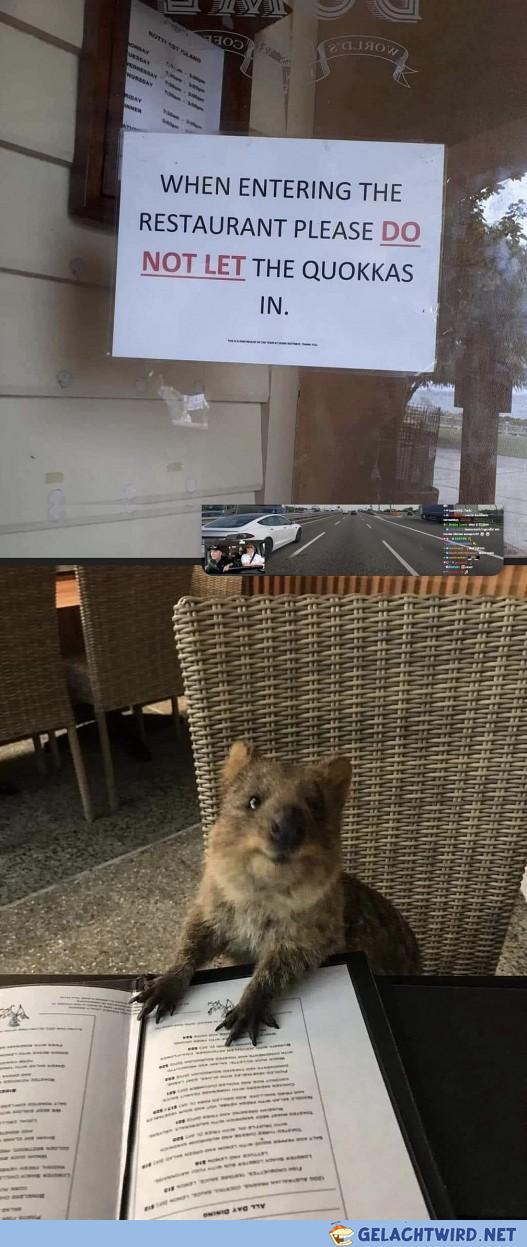 Henlo