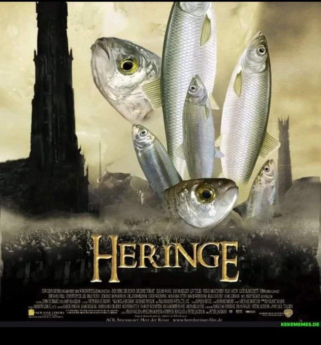 Heringe.jpg