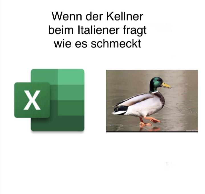 Hihi