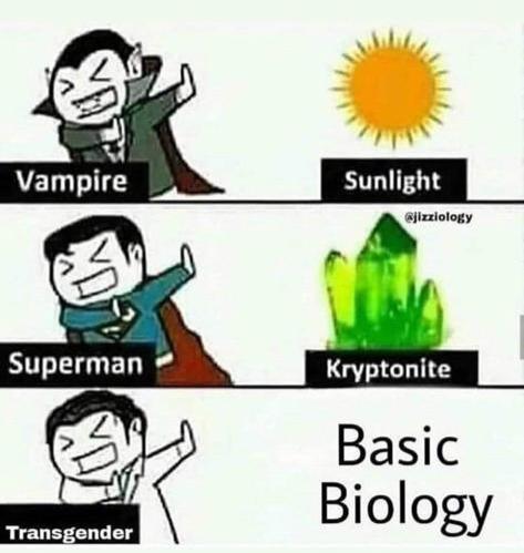 Hihi