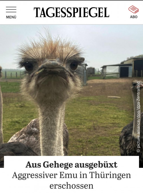 His name was Worras