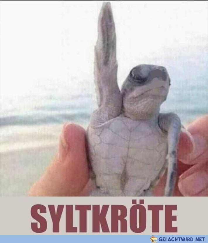 Hoffe die wird gekündigt!