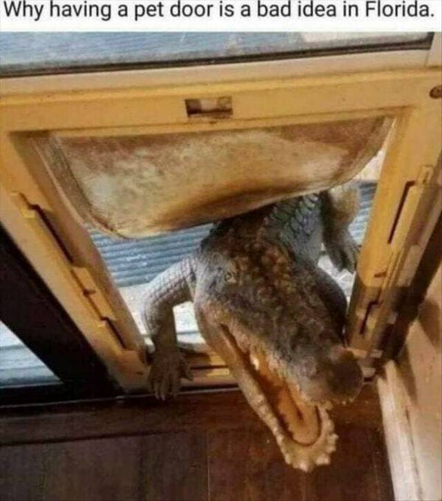 Huhu!