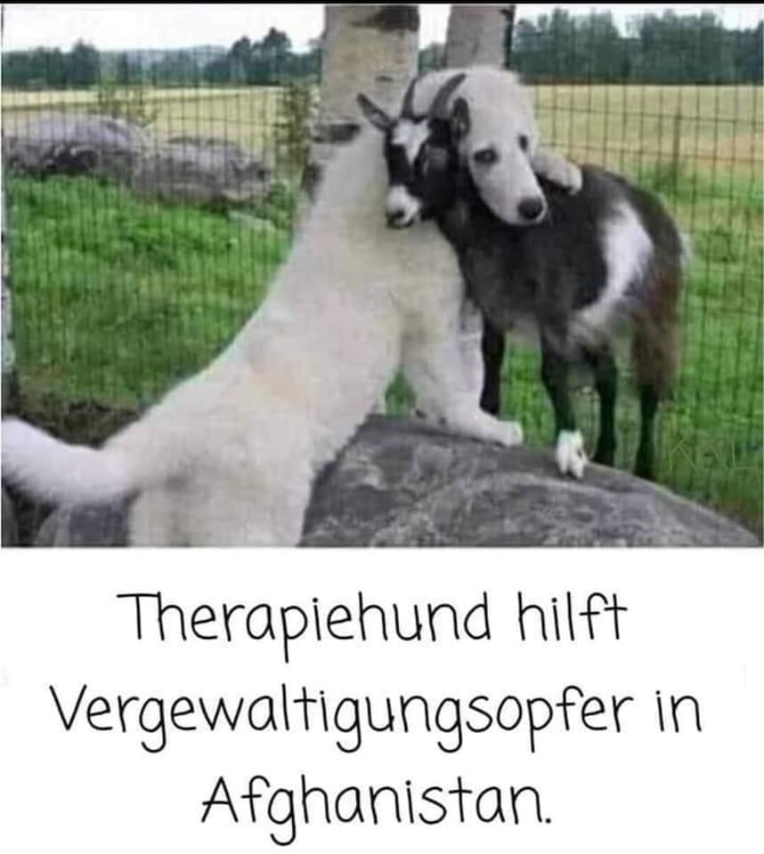 Hunt hilft Hunt