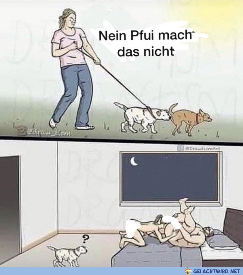 Hä? Faasche?