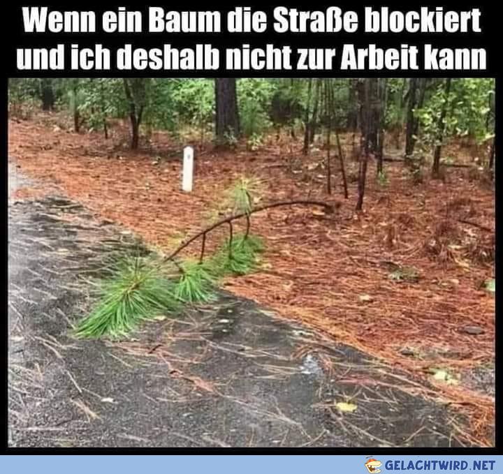 höhere gewalt