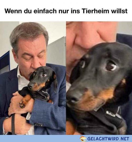Hülfe der Maggus