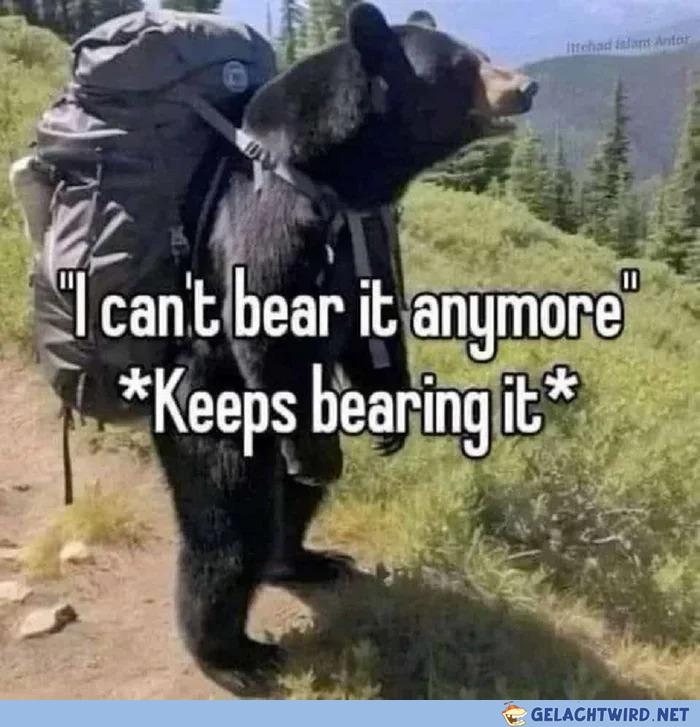 i can't bear it anymore