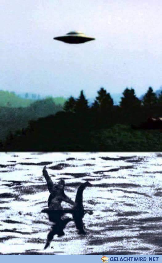 I want to believe