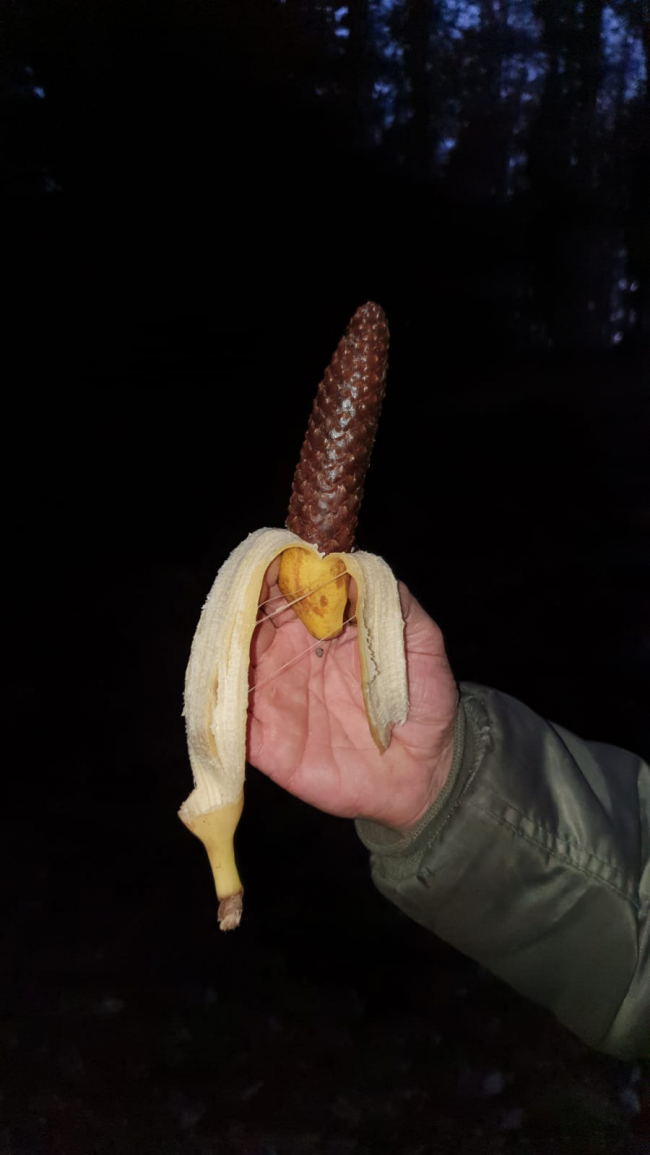 Ich hasse Bananen