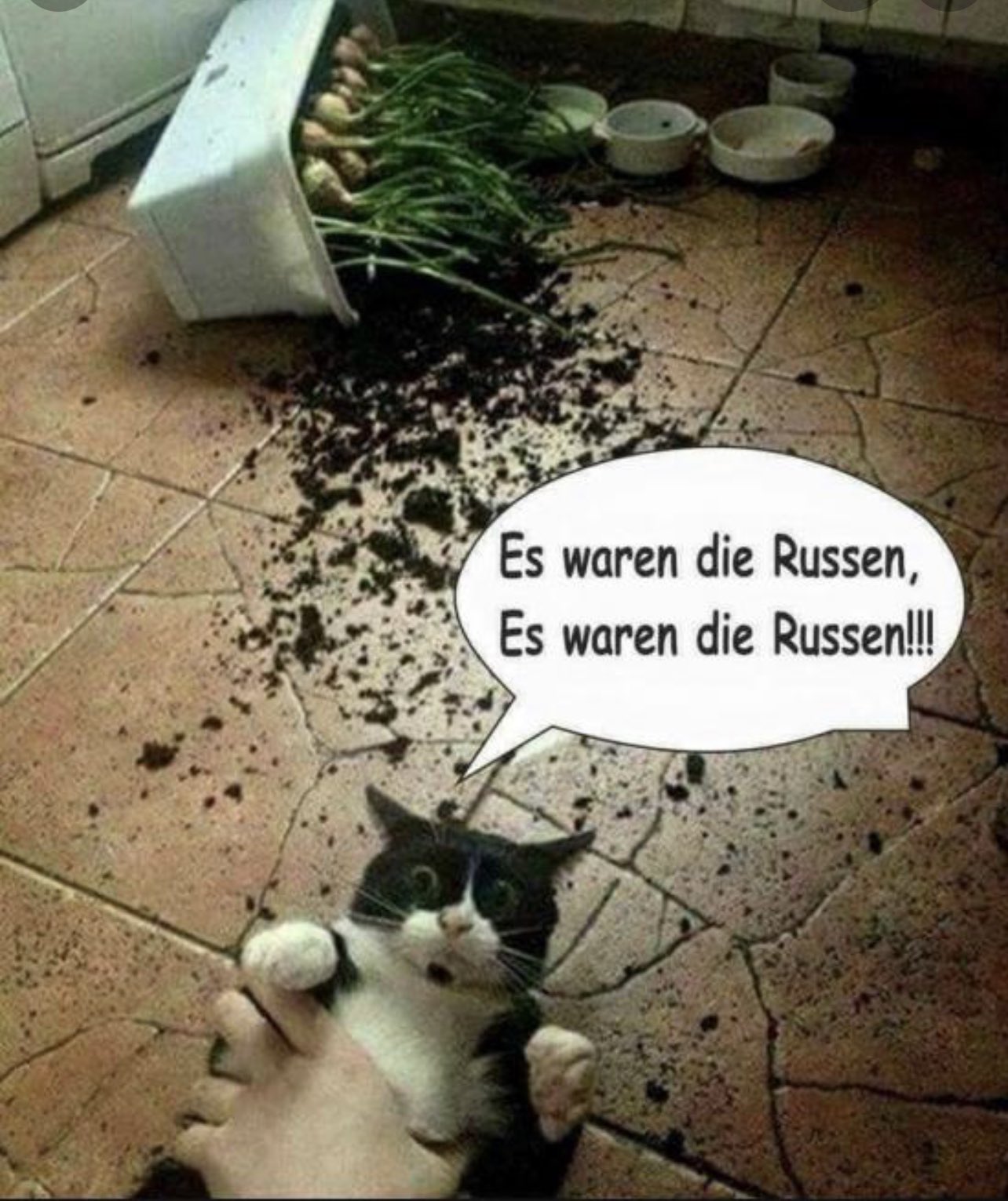 Immer dieser Putni