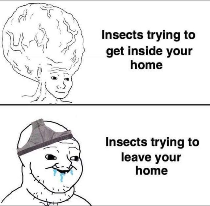 Insekten...