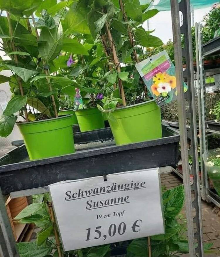 Interessant