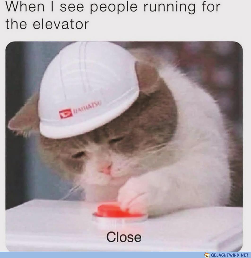 invest