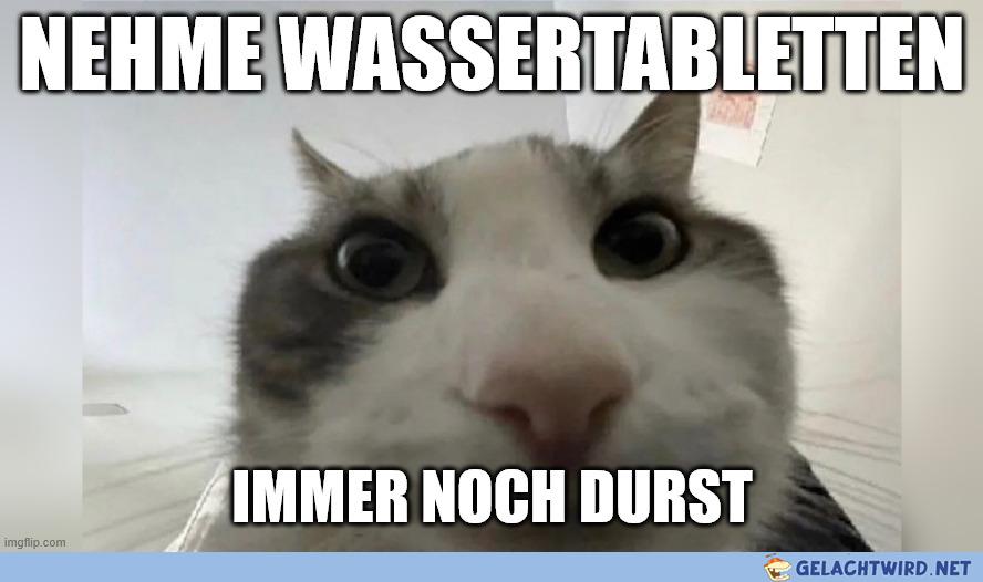Ist so