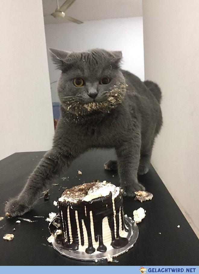 It wasn't me