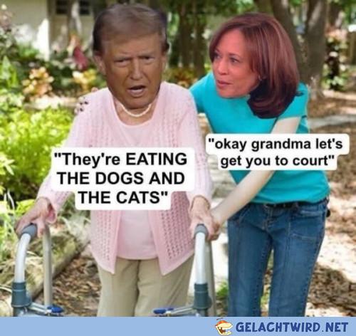 It's raining cats and dogs