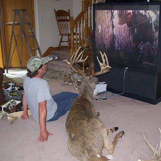 It´s Chuck Testa