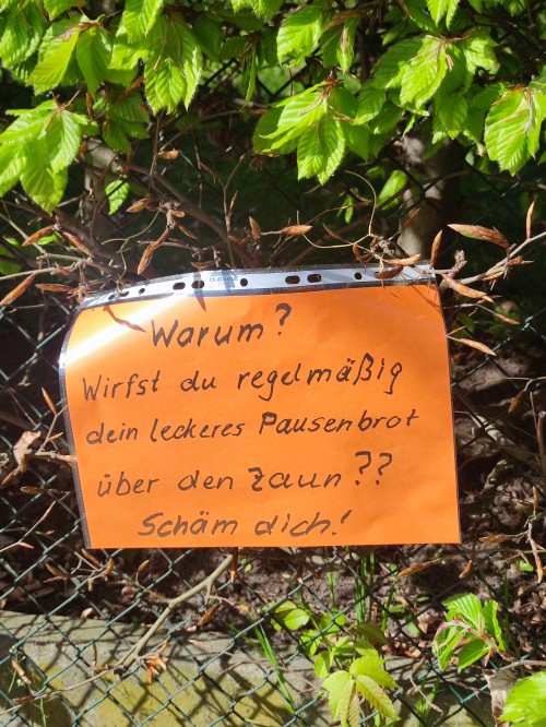 Ja schäm dich