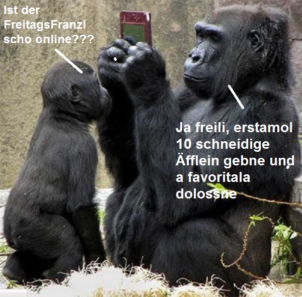 Ja wo isser?