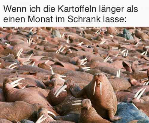 Jedes Mal aber auch