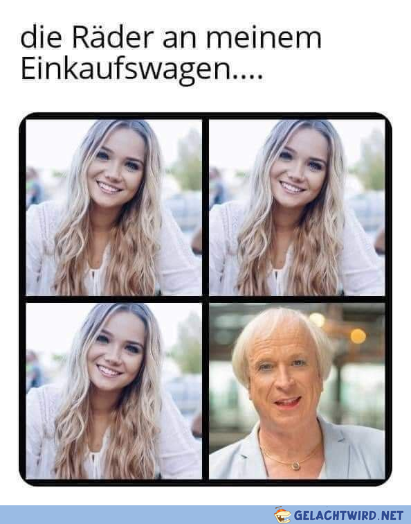 Jedes verdammte mal