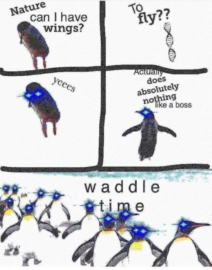 k.jpg