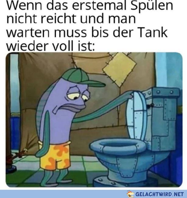 kaka